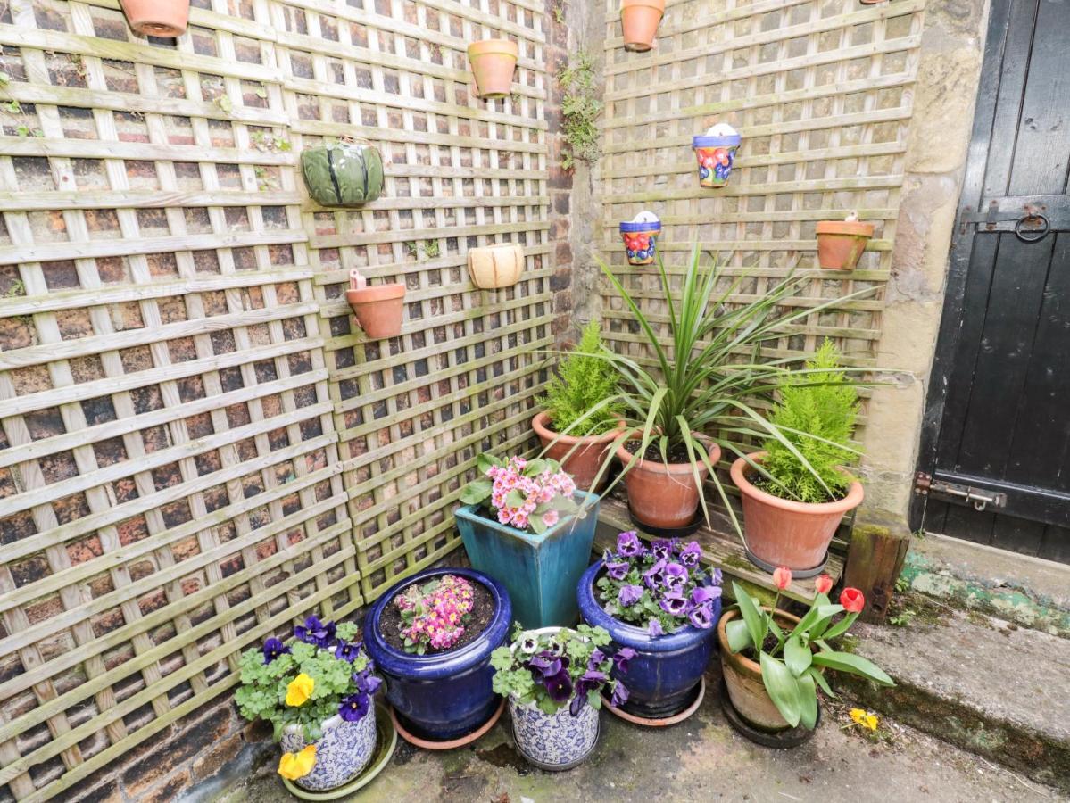 Coquet Cottage 安布尔 外观 照片